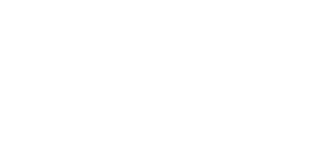 DavidCityLine